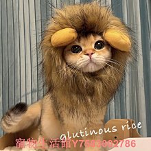 寵物貓咪狗狗獅子假發頭套兔子耳朵搞怪頭飾帽萬圣節裝扮變身帽子 歷史價格詳細信息