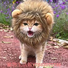 寵物貓咪狗狗獅子假發頭套兔子耳朵搞怪頭飾帽萬圣節裝扮變身帽子 價格比較,價格查詢,歷史價格詳細信息