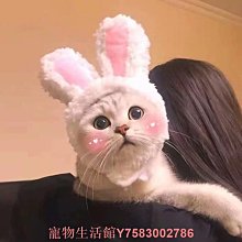 寵物貓咪狗狗獅子假發頭套兔子耳朵搞怪頭飾帽萬圣節裝扮變身帽子 歷史價格詳細信息