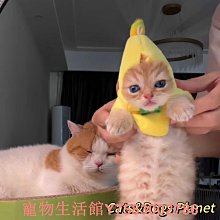 香蕉寵物小舖- LV藍帶精選 貓飼料 滋補幼母貓鮭魚蔬果/化毛成貓鮪魚蔬果/成貓海鮮蔬果 1.5kg 歷史價格詳細信息