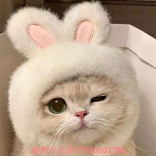 日版 新品 迪士尼 50cm 帆布包 托特包 手提包 手提袋 歷史價格詳細信息