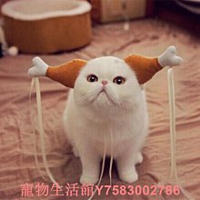 搞笑寵物帽子創意搞笑變身泰迪節日頭飾搞怪萬圣節貓咪香蕉頭套 歷史價格詳細信息