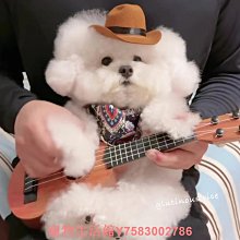 狗狗小型犬牛仔造型衣(內刷毛 ~AJ雜貨舖1b-3-09 歷史價格詳細信息