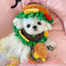 漢堡帽子小紅書同款搞怪創意女孩搞笑沙雕卡通可愛情侶春秋貝雷帽BY828 歷史價格詳細信息