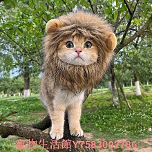 寵物貓咪狗狗獅子假發頭套兔子耳朵搞怪頭飾帽萬圣節裝扮變身帽子 歷史價格詳細信息