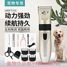 推推剪貓咪指甲剪剪兔子寵物指甲鉗新手專用小盲剪打磨磨指甲修剪 歷史價格詳細信息