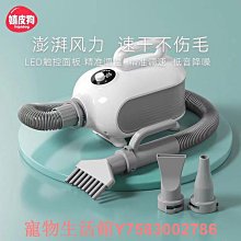 寵吹風機家用大功率藍光負離子護髮理髮店冷熱風筒小電吹風筒 歷史價格詳細信息