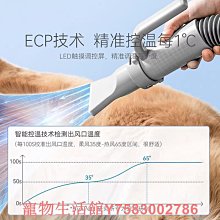 寵吹風機家用大功率藍光負離子護髮理髮店冷熱風筒小電吹風筒 歷史價格詳細信息