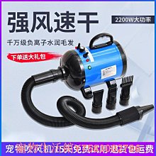 寵吹風機家用大功率藍光負離子護髮理髮店冷熱風筒小電吹風筒 歷史價格詳細信息