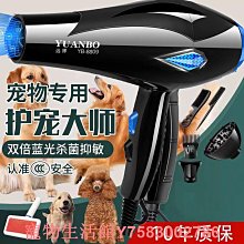 金泰寵物烘干箱貓咪自動吹干機家用洗澡吹風吹水狗狗吹毛烘干神器 歷史價格詳細信息