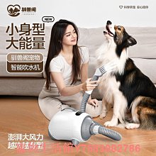 寵吹風機家用大功率藍光負離子護髮理髮店冷熱風筒小電吹風筒 歷史價格詳細信息