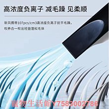 寵吹風機家用大功率藍光負離子護髮理髮店冷熱風筒小電吹風筒 歷史價格詳細信息