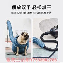 寵物烘干箱家用烘干機吹水機貓咪狗狗大型犬吹風機吹干毛洗澡神器 歷史價格詳細信息