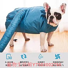 狗狗福箱 團購價 超值 粉絲最愛 熱賣款 口味多種 隨機出貨 寵物 潔牙 狗餐盒 罐頭 零食 福袋 歷史價格詳細信息