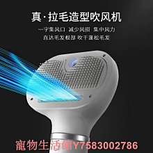 寵物吹風機 拉毛一件式 速乾 蓬鬆梳 貓狗洗澡 吹乾神器 烘乾吹吹風機 高性能 歷史價格詳細信息