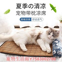 涼席地墊睡覺榻榻米午睡家用臥室冰藤席子防滑冰絲席打地鋪墊床墊 歷史價格詳細信息