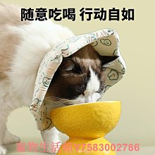 寵物伊麗莎白圈貓咪可調節脖圈寵物絕育專用頭套狗狗防抓防舔項圈 歷史價格詳細信息