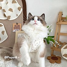 棉花田【貓咪好朋友】日本超人氣印花珪藻土吸水抗菌浴墊(35x45cm) 歷史價格詳細信息