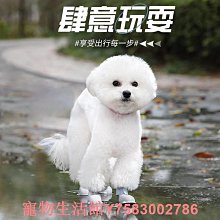 防水雨鞋寵物用品硅膠鞋子防滑狗狗雨鞋大狗泰迪法斗雪納瑞小鹿犬 歷史價格詳細信息