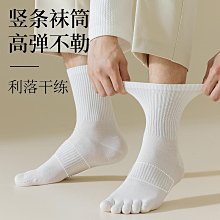 新款五指襪男純棉防臭秋冬款中筒分趾襪耐磨吸汗五趾襪全棉透氣不臭腳 歷史價格詳細信息