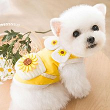 原創夏天奶藍色飄帶大腸發圈蝴蝶結發繩外出發帶日韓少女溫柔發飾 歷史價格詳細信息