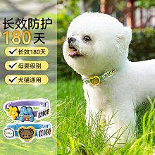 寵物用品 貓咪項圈脖圈貓牌刻名字防丟失寵物脖飾項鏈鈴鐺飾品掛牌小貓配飾 歷史價格詳細信息