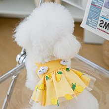 寵物用品狗狗衣服薄款夏天碎花裙小型犬泰迪雪納瑞比熊春夏季寵物貓咪服飾 歷史價格詳細信息