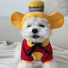 寵物用品狗狗衣服薄款夏天碎花裙小型犬泰迪雪納瑞比熊春夏季寵物貓咪服飾 歷史價格詳細信息