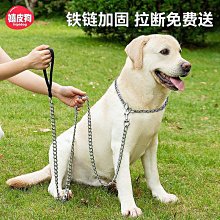 狗鏈子牽引繩防咬鐵鏈大型犬狗狗項圈遛狗繩小型柯基金毛德牧土狗 歷史價格詳細信息