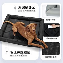 寵物德國hunter馬鞍形狗狗寵物真皮胸背帶小中大型犬牛皮遛狗牽引繩子牽引繩 歷史價格詳細信息