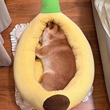 狗窩 貓窩 通用狗墊子床貓窩中小型犬泰迪柯基用品 中大號尺寸議價超夯 精品 歷史價格詳細信息