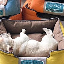 棉窩 寵物窩 狗窩 寵物超柔小型犬狗窩柯基夏季狗墊子 博美泰迪狗窩可愛貓窩籠墊此款小號尺寸 歷史價格詳細信息