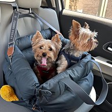 寵物酷極狗狗牽引繩牽狗繩小狗繩子胸背小型犬泰迪柯基背帶寵物背心式牽引繩 歷史價格詳細信息