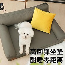 沙雕狗子健身Buff肌肉秋田柴犬短袖Swloe Doge男女惡搞笑人氣T恤#皇運 歷史價格詳細信息