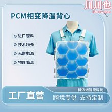 戶外建築樓梯陽台工地安全尼龍阻燃6米防墜網（建築網/安全網/防貓網繩/遮陽網/防風網/防護網） 歷史價格詳細信息