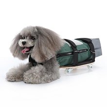 下肢骨傷疾病診療學 楊鳳雲 王力 9787513286312 【台灣高等教育出版社】 歷史價格詳細信息