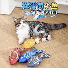 寵物用品貓玩具球自嗨解悶神器逗貓棒耐咬靜音球毛絨球寵物小貓咪用品大全 歷史價格詳細信息