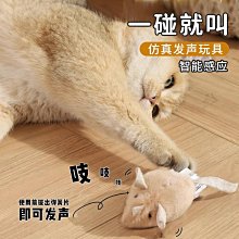 寵物用品貓玩具球自嗨解悶神器逗貓棒耐咬靜音球毛絨球寵物小貓咪用品大全 歷史價格詳細信息