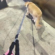 寵物狗狗牽引繩狗鏈子中型小型犬寵物泰迪柯基遛狗神器自動伸縮狗繩子牽引繩 歷史價格詳細信息