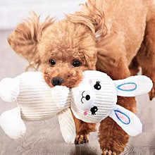 狗狗玩具球耐咬磨牙棒幼犬泰迪小狗解悶寵物用品小型犬咬膠狗玩具 歷史價格詳細信息