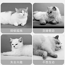 寵物用品貓玩具球自嗨解悶神器逗貓棒耐咬靜音球毛絨球寵物小貓咪用品大全 歷史價格詳細信息