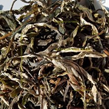 鮮香一口鮑魚任選5包(日式磯煮/激辛椒香/10粒/包) 歷史價格詳細信息