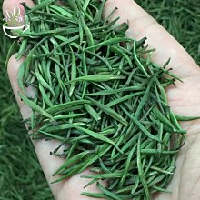 【熱賣下殺價】雀舌綠茶新茶貴州茶葉湄潭翠芽明前毛尖嫩芽茶片碎茶500g散裝 歷史價格詳細信息