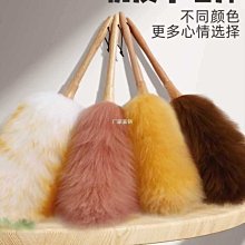 下殺-除塵撣子掃灰家用靜電不掉毛吸灰神器車用雞毛撣一次性*特價 歷史價格詳細信息