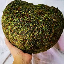 【熱賣下殺價】茶里chali 葡萄柚茉莉綠茶7小袋獨立便攜裝結婚伴手禮茶包烘焙 歷史價格詳細信息