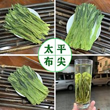 【熱賣下殺價】安吉黃金芽新春新茶250g罐裝茶葉送禮盒送禮高山春茶散裝 歷史價格詳細信息