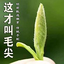 【熱賣下殺價】信陽毛尖2022新茶明前特級嫩芽頭采全芽頭手工茶綠茶正宗原產散裝 歷史價格詳細信息