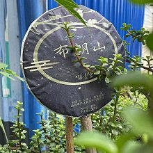 南王 濃縮洗衣膠囊 桃花香 35顆/包 茶皂素添加 洗衣球 洗衣膠囊 歷史價格詳細信息