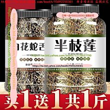 蛇舌-口交 深喉嚨 夾吸自慰器-佐伯由美香 歷史價格詳細信息