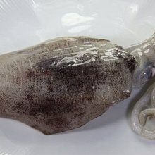 【噴墨家族系列】台灣東北角活凍小卷(透抽)5隻/約300g±5%~活體急速冷凍，鎖住鮮甜好滋味 歷史價格詳細信息